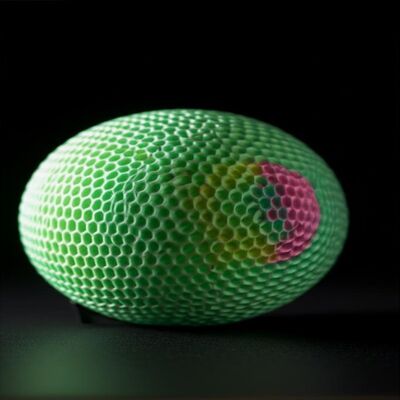 Digital Printing 65cm Long Sleeve Tops Personalized Designs Crew Neck Long Sleeves